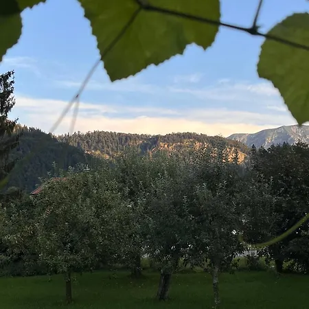 شقة Gaestehaus Zum Thoma