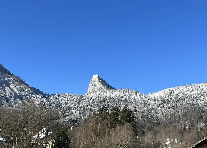 Апартаменты Gaestehaus Zum Thoma