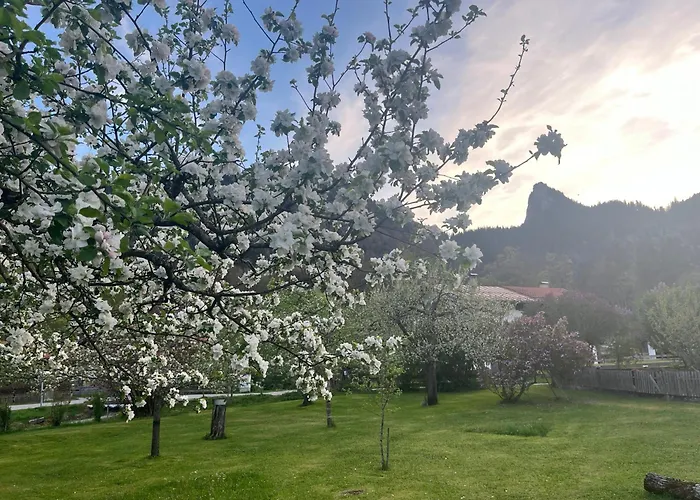 Апартаменты Gaestehaus Zum Thoma Кройт